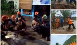 Bidiknewsbpbdtanggamus