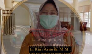 "Skandal Anggaran Rp4 Miliar di Dinas Peternakan Lamsel: Modus 'Proyek Fotokopi' Diduga Rugikan Negara"