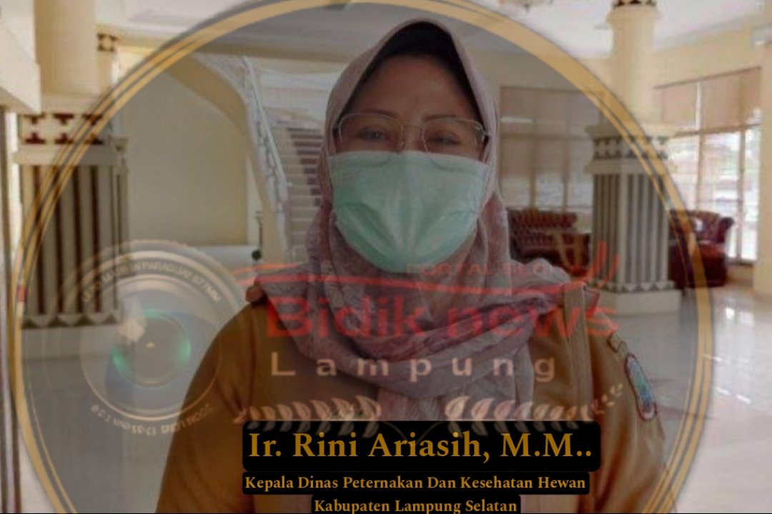 "Skandal Anggaran Rp4 Miliar di Dinas Peternakan Lamsel: Modus 'Proyek Fotokopi' Diduga Rugikan Negara"