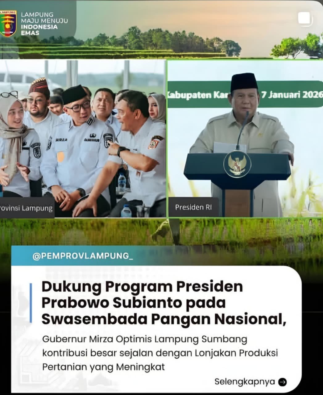 Sektor Pertanian Lampung Menggeliat, Produksi Padi Naik 15%: Pemprov Lampung Dorong Inovasi AI untuk Pembangunan Desa