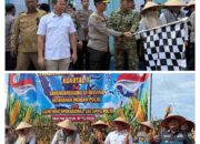 DPRD Provinsi Lampung Dukung Penguatan Ketahanan Pangan Melalui Panen Raya Jagung Serentak